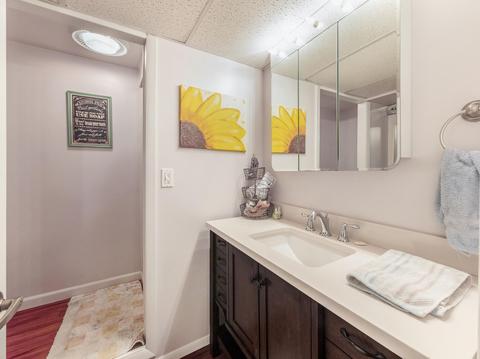11781 Killarny Cir, Jerome, MI 49249 photo 25