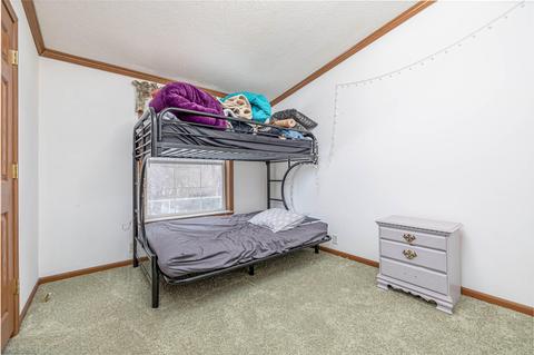 9716 Fish Rd, Belding, MI 48809 photo 11