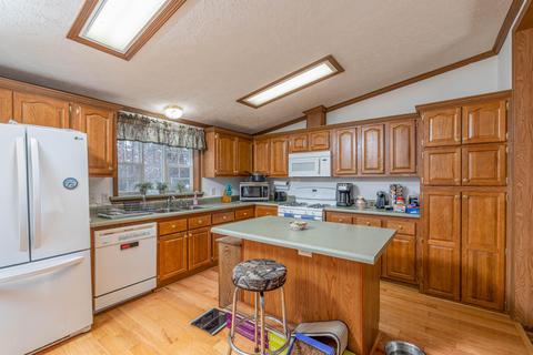 9716 Fish Rd, Belding, MI 48809 photo 17