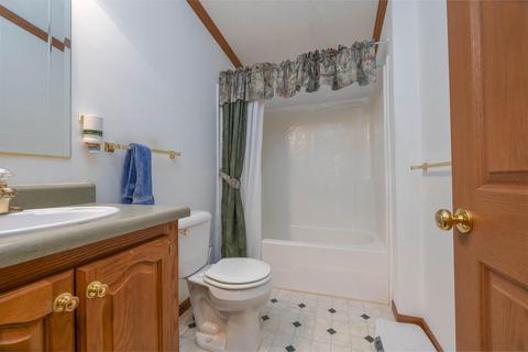 9716 Fish Rd, Belding, MI 48809 photo 13