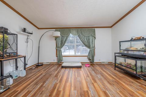 9716 Fish Rd, Belding, MI 48809 photo 19