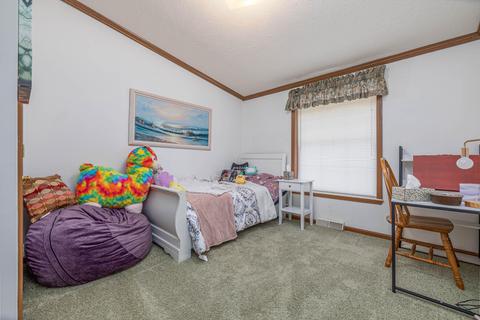 9716 Fish Rd, Belding, MI 48809 photo 12