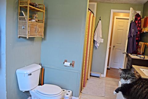 2523 E 1st St, Custer, MI 49405 photo 17