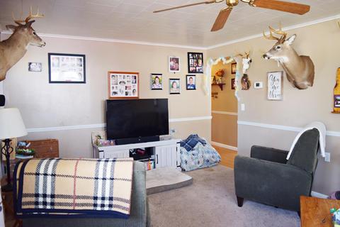 2523 E 1st St, Custer, MI 49405 photo 9