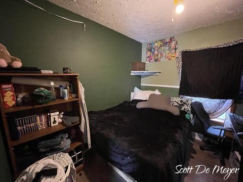 533 Roosevelt St, Belding, MI 48809 photo 21