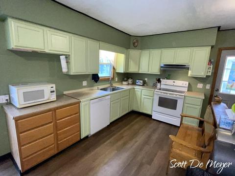 533 Roosevelt St, Belding, MI 48809 photo 27