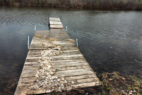9636 Skiff Rd, Jerome, MI 49249 photo 44