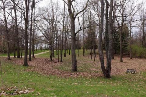 9636 Skiff Rd, Jerome, MI 49249 photo 46