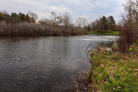 9636 Skiff Rd, Jerome, MI 49249 photo 2