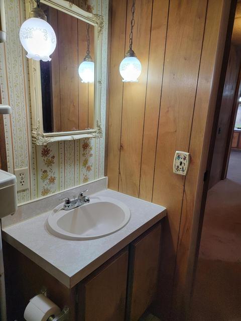249 Bater Rd, Coldwater, MI 49036 photo 17