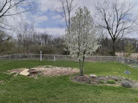 3217 Hunt Rd, Adrian, MI 49221 photo 34