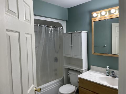 3217 Hunt Rd, Adrian, MI 49221 photo 24