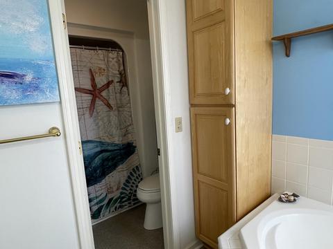 3217 Hunt Rd, Adrian, MI 49221 photo 19