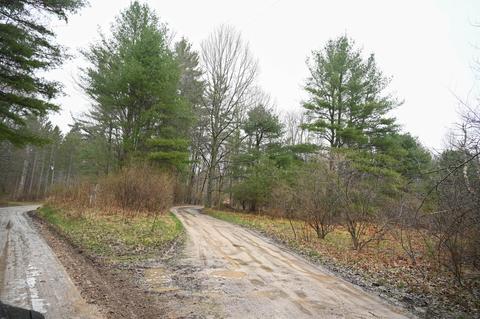 3315 Rose Rd, Brethren, MI 49619 photo 56