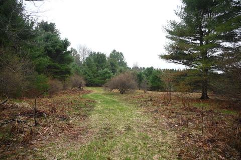 3315 Rose Rd, Brethren, MI 49619 photo 57