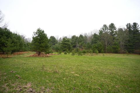 3315 Rose Rd, Brethren, MI 49619 photo 59