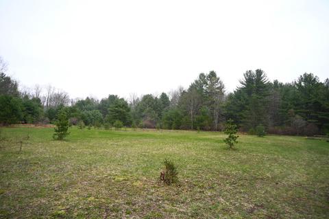 3315 Rose Rd, Brethren, MI 49619 photo 61