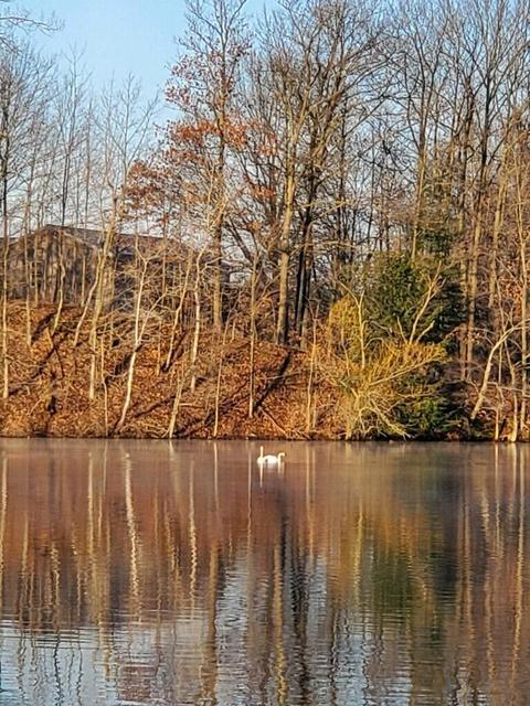17629 W River Dr, Morley, MI 49336 photo 30