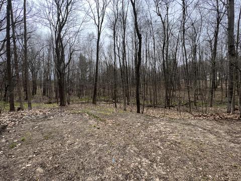 17629 W River Dr, Morley, MI 49336 photo 23