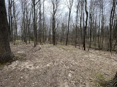 17629 W River Dr, Morley, MI 49336 photo 7