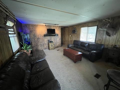 17629 W River Dr, Morley, MI 49336 photo 12