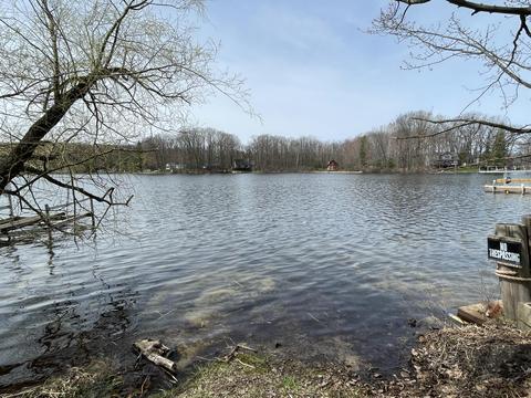 2062 Maple Street St, Harrison, MI 48625 photo 24