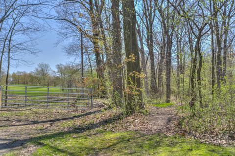 4085 Garland Dr, Jackson, MI 49201 photo 28