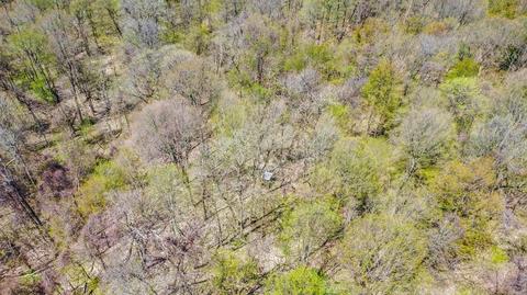 4335 Curran Rd, Buchanan, MI 49107 photo 45