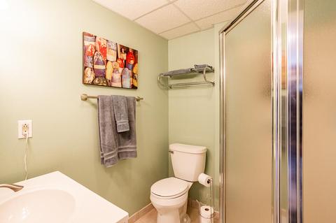 7583 Wadding Dr, Onsted, MI 49265 photo 41