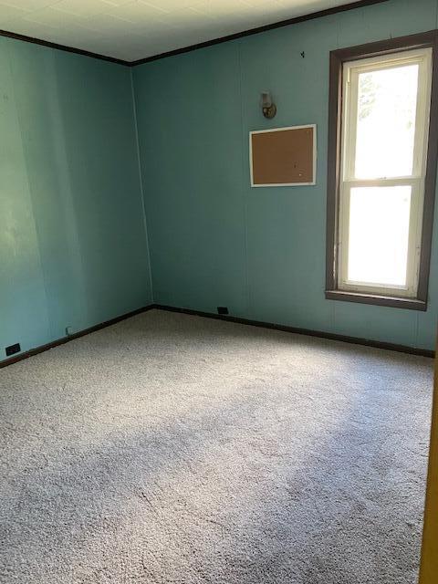 817 Kenwood Ave, Belding, MI 48809 photo 11
