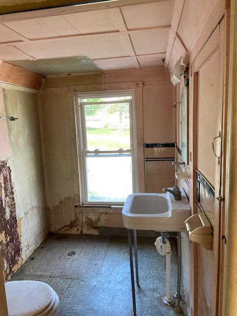 817 Kenwood Ave, Belding, MI 48809 photo 13