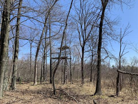 19 S Baldwin Ave, White Cloud, MI 49349 photo 39