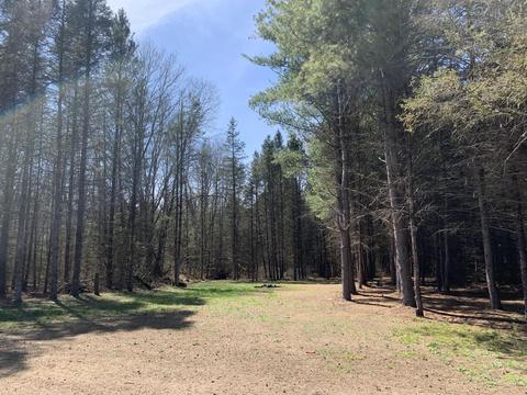19 S Baldwin Ave, White Cloud, MI 49349 photo 24