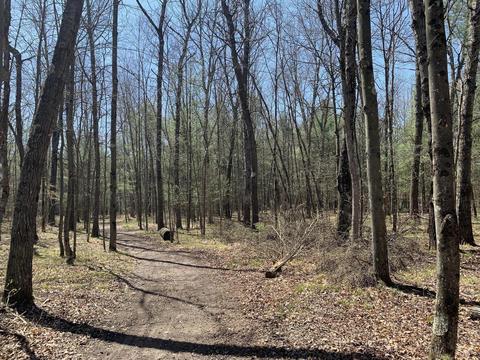 19 S Baldwin Ave, White Cloud, MI 49349 photo 36