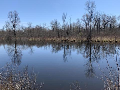 19 S Baldwin Ave, White Cloud, MI 49349 photo 30