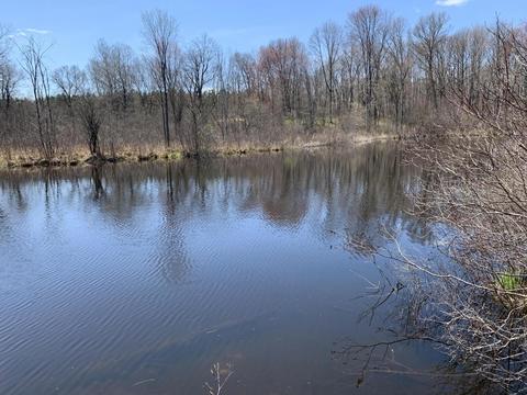 19 S Baldwin Ave, White Cloud, MI 49349 photo 32