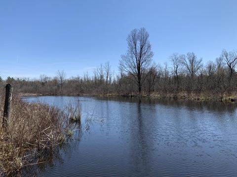 19 S Baldwin Ave, White Cloud, MI 49349 photo 3
