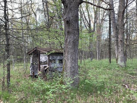 19 S Baldwin Ave, White Cloud, MI 49349 photo 40