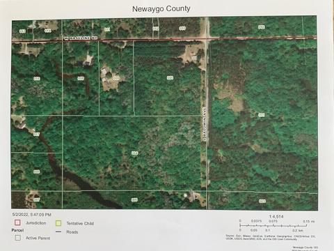 19 S Baldwin Ave, White Cloud, MI 49349 photo 57