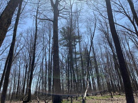 19 S Baldwin Ave, White Cloud, MI 49349 photo 38