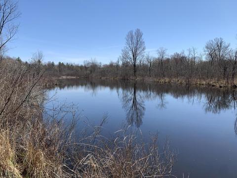 19 S Baldwin Ave, White Cloud, MI 49349 photo 31