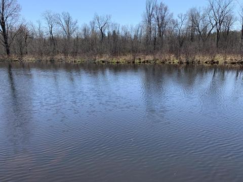 19 S Baldwin Ave, White Cloud, MI 49349 photo 33