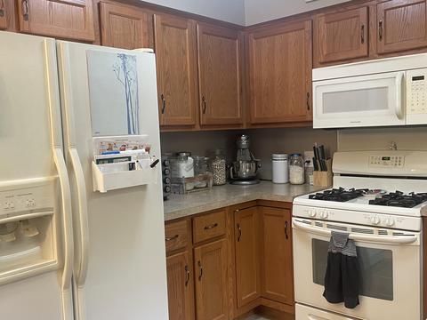 356 N Higbee St, Lyons, MI 48851 photo 6