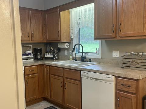 356 N Higbee St, Lyons, MI 48851 photo 7