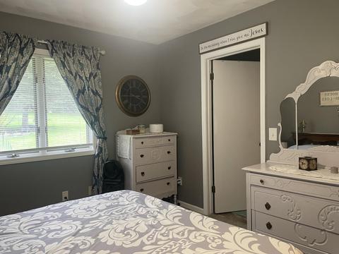 356 N Higbee St, Lyons, MI 48851 photo 10