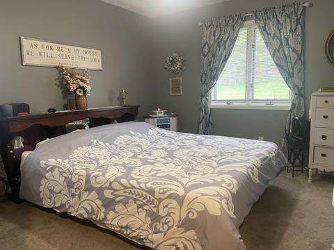 356 N Higbee St, Lyons, MI 48851 photo 9