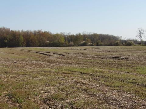 7380 Pleasant View Rd, Waldron, MI 49288 photo 5