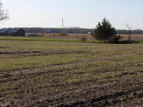7380 Pleasant View Rd, Waldron, MI 49288 photo 6
