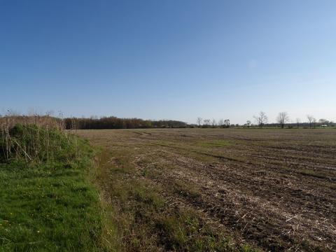 7380 Pleasant View Rd, Waldron, MI 49288 photo 4