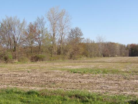 7380 Pleasant View Rd, Waldron, MI 49288 photo 7